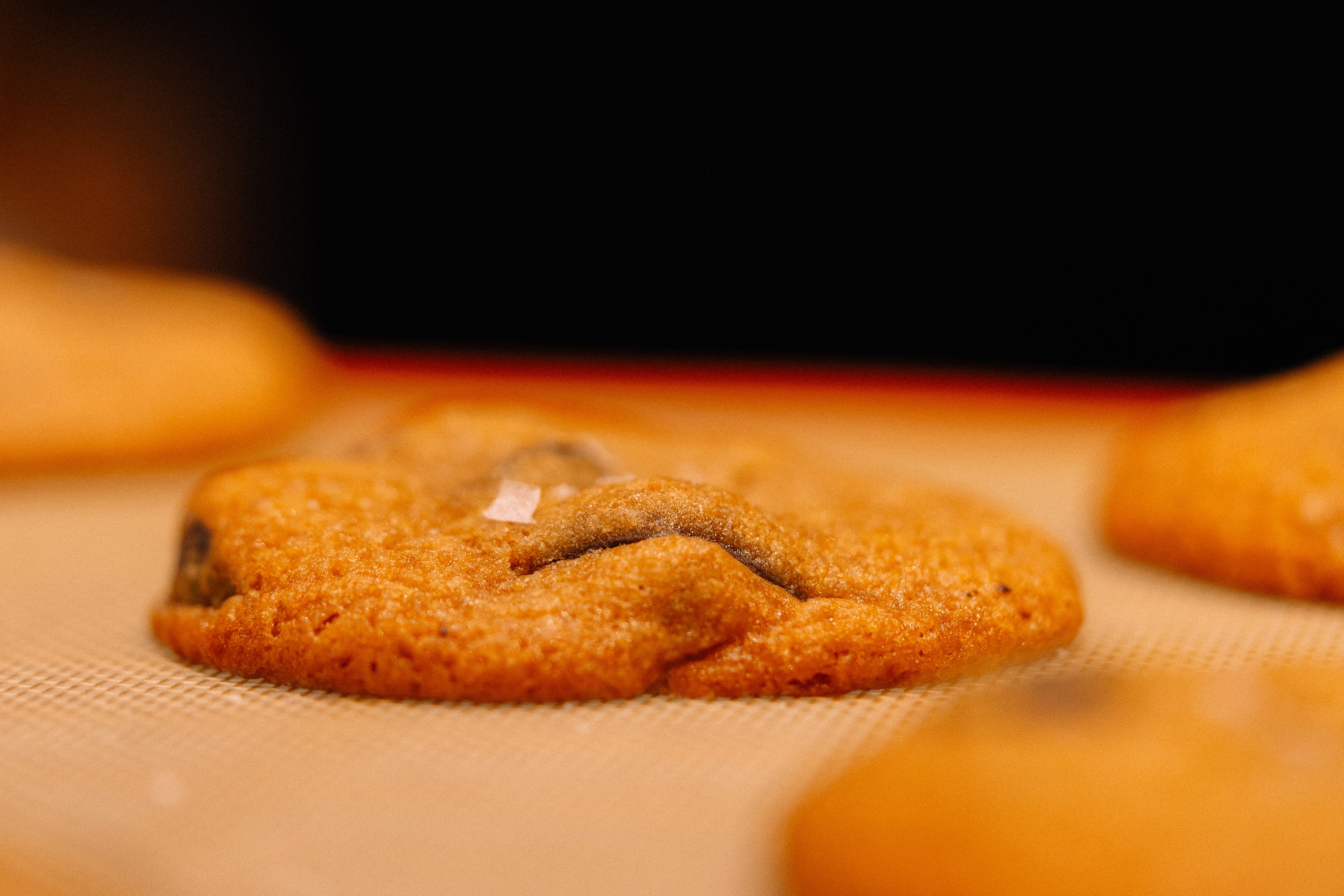 John Dory : branding of a grocery store in Bordeaux © Pierre d'Alteroche