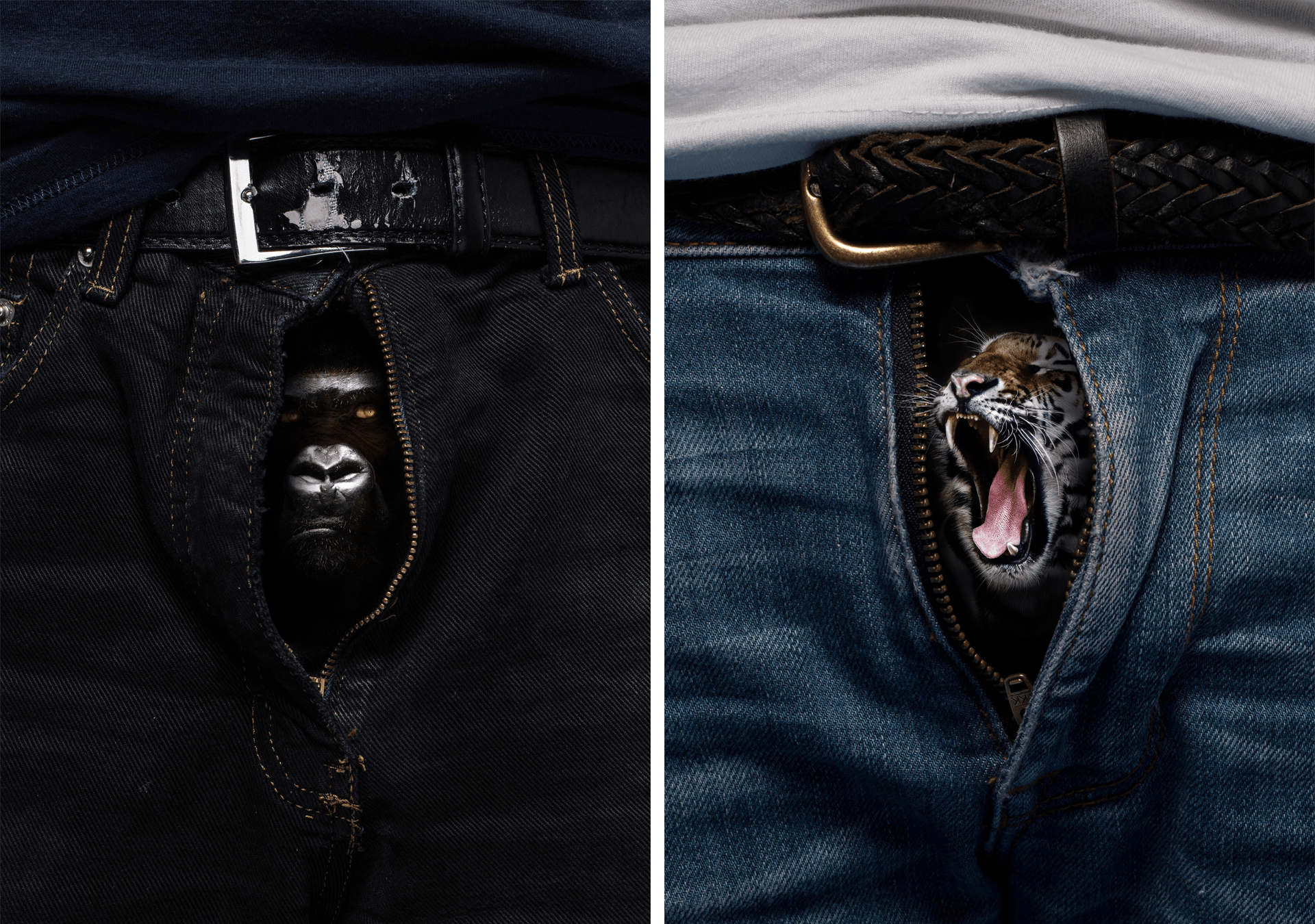 Photo series of wild beasts escaping from men's pants © Pierre d'Alteroche