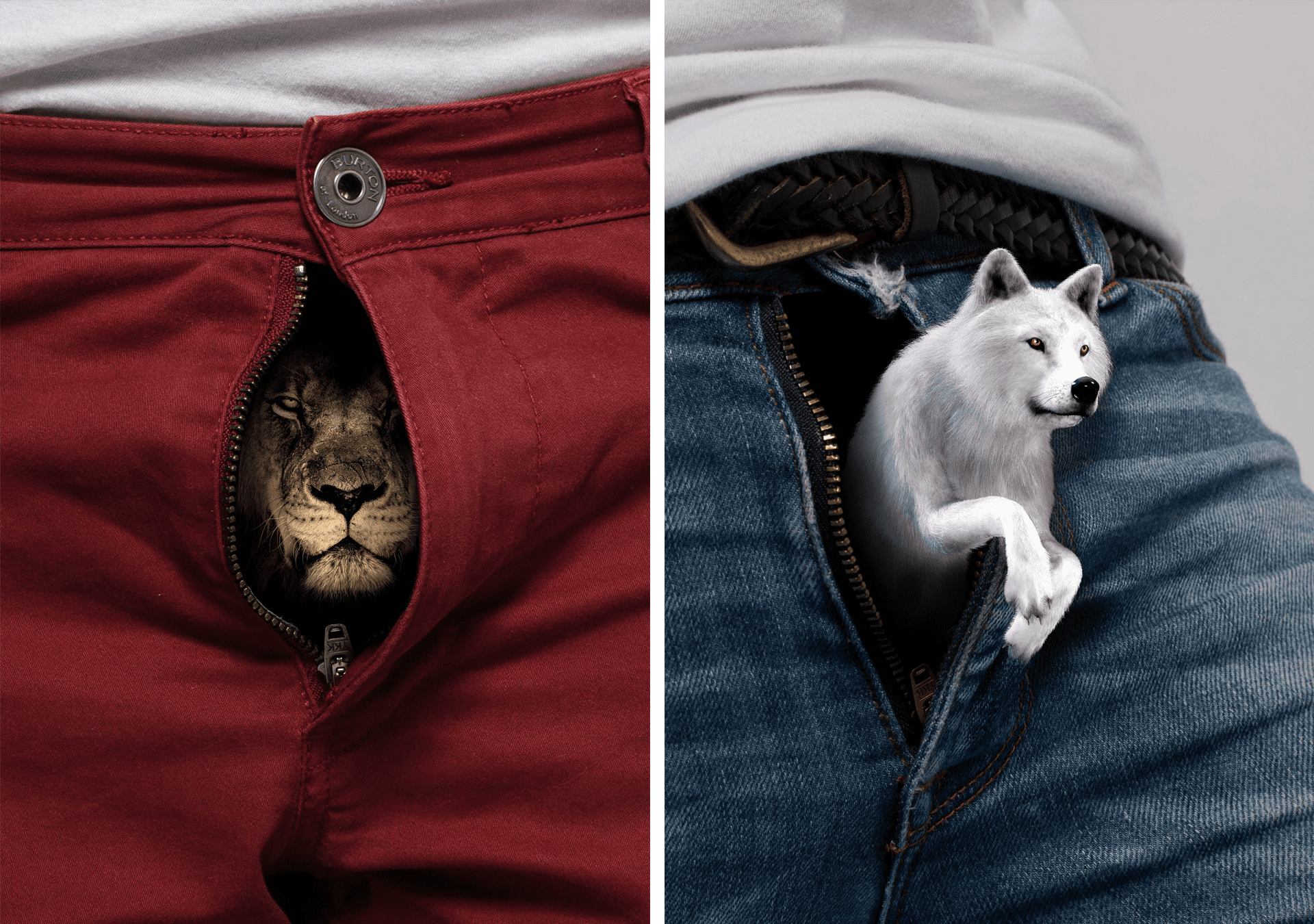 Photo series of wild beasts escaping from men's pants © Pierre d'Alteroche